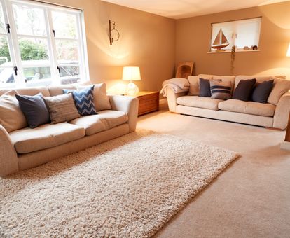carpet flooring