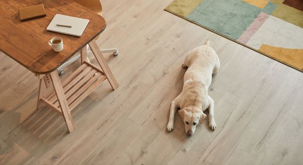 laminate flooring